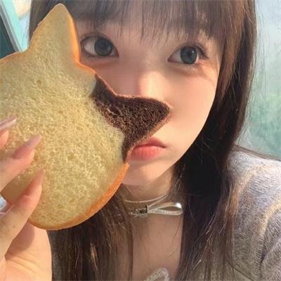凤皇传